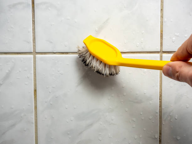 Best DIY Mold Remediation Support Services in Warrior, AL