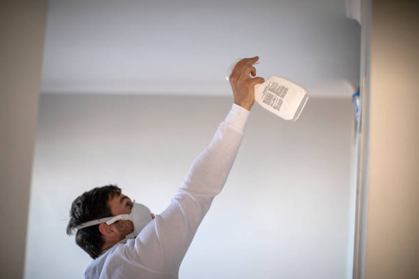 Best Kitchen Mold Remediation in Warrior, AL